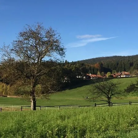 Blick *